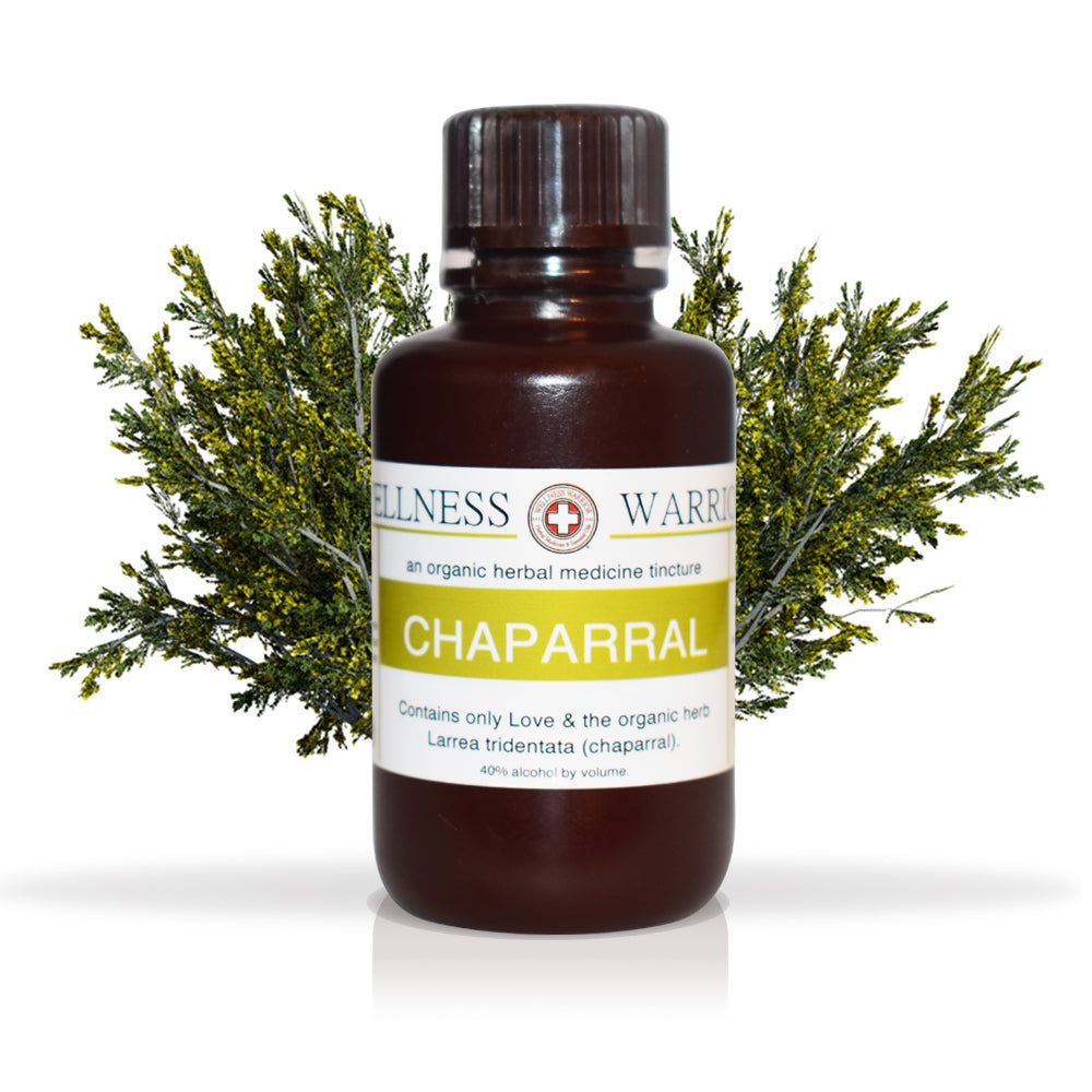 Chaparral Herbal Tincture