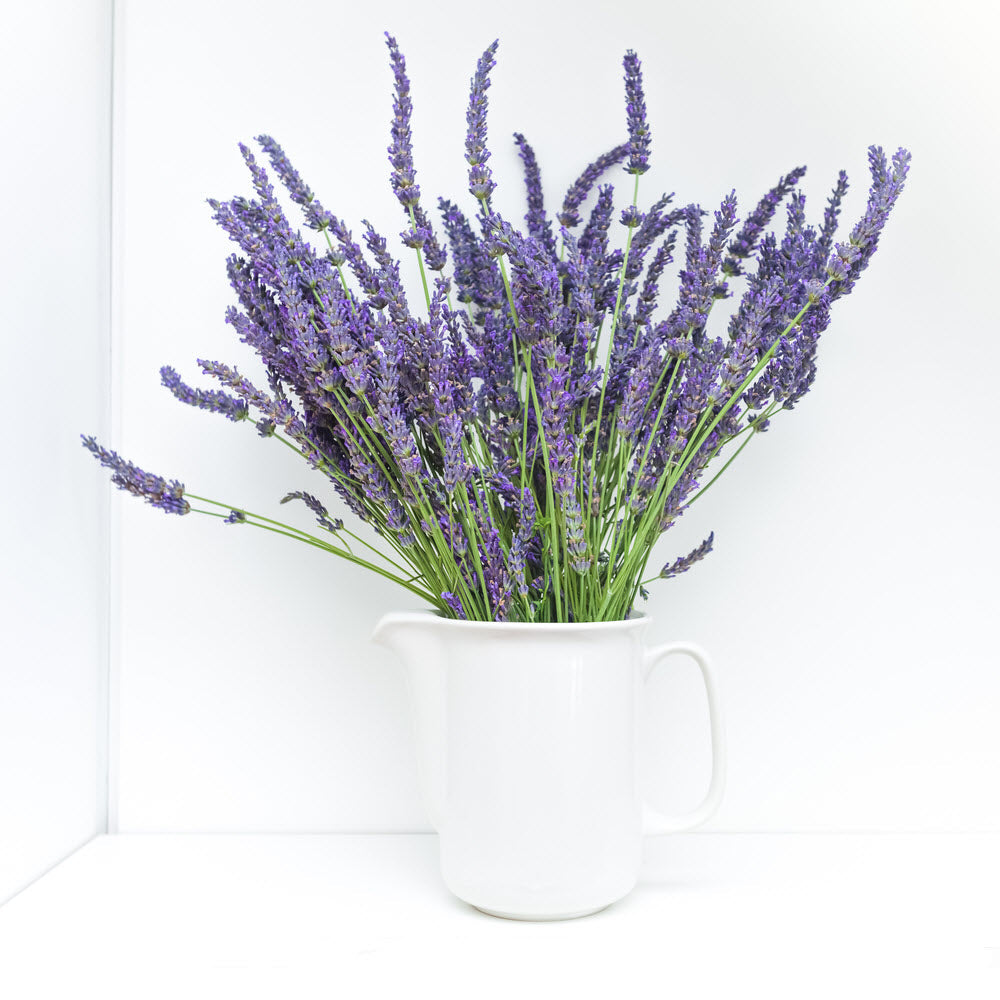 Lavender Reserve - Roller for Baby